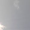 bo_yusuf6