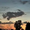 eddi_dop