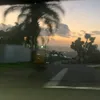 rheya_101