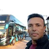 dalmo3816