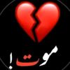 zaman.gul65