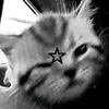 im_ansyx.qunimade