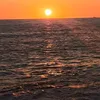 amal.elhayat0