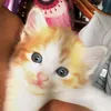 jayseemiller
