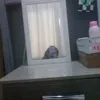 beatrizfortunato72