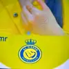 alimet206