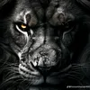 7crev