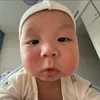 tvbietbuon