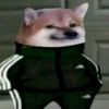 ._l8s