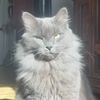 abby.mclaughlin1