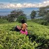 ayuzainsandi