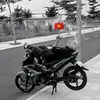 n.s.toan