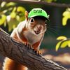 365partyysquirrel