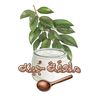 jobna.1