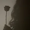 gha_zal460