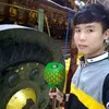 sawmulu