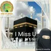 auraumroh4