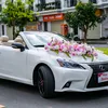 Kent Wedding Car - Xe Cưới💫✅️