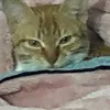 minhng16261230255
