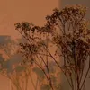 _g0804