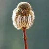 user636rhybgcm