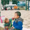 haithanhdinh197
