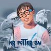 MR POTTER ZW