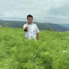 usern93oa6q076