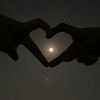 rizwanmalik22068