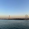 mimou_918