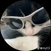 ms._.anonimo3