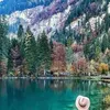 aminaelassouli253
