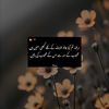 alijan88287