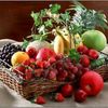 fruits_vip