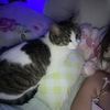 ilovemy_cat5