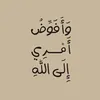 basoz33