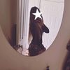 lana.hamushlemet