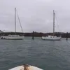 paulrenouf5