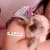 prvt__mumu