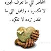 user14166376838352