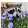 inkkart_13