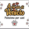 acasadivenicio