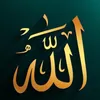 bybsi_sd