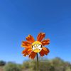 beautifulcactus93
