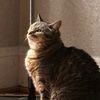 genericusernameagain