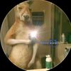 moises.wb36