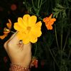 flower122716