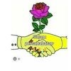 moh.ali803