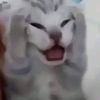 notmarkactually