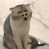 sleppy_49